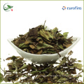 Organic Best White Tea Brands White Tea